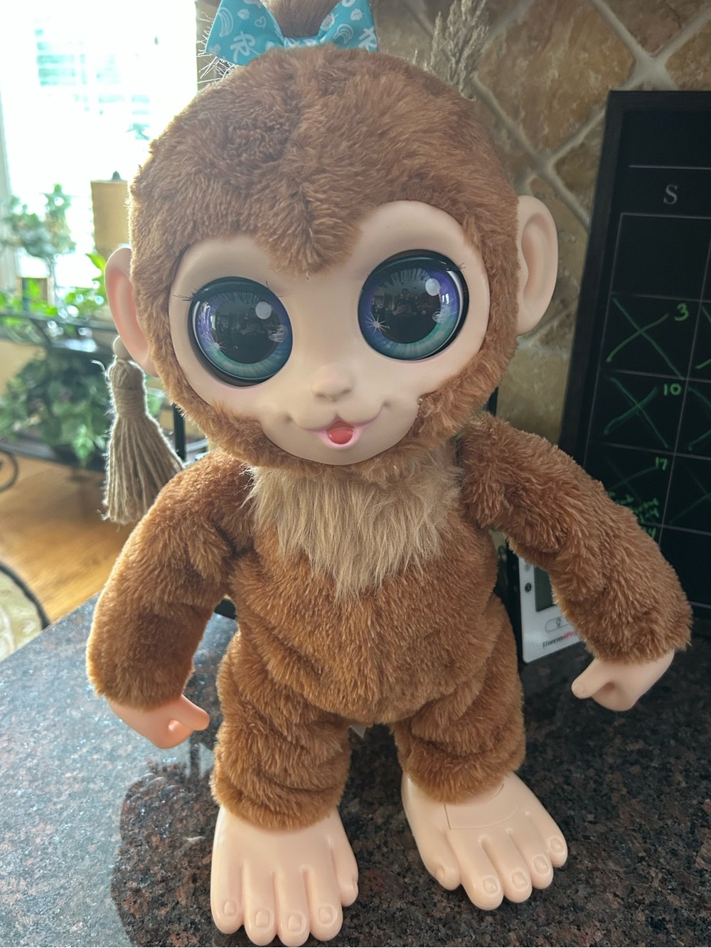 Fureal Pet Peanuts the monkey